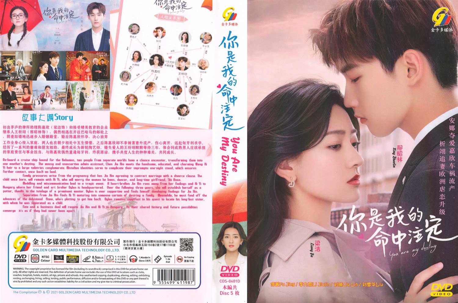 You Are My Destiny image 4