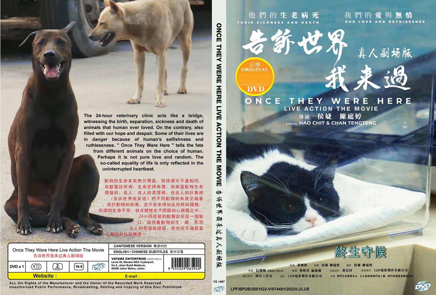 告訴世界我來過真人劇場版 image 4