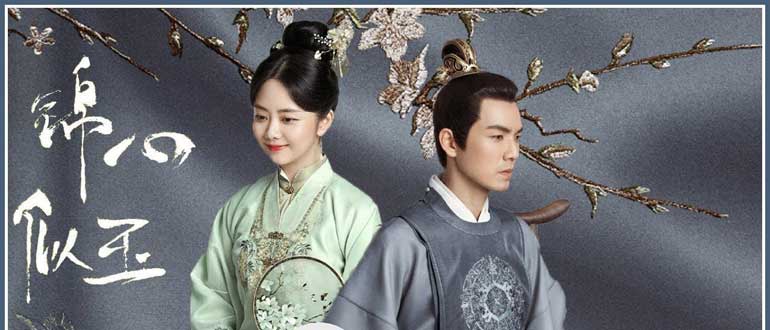 The Sword and The Brocade (DVD) (2021) China TV Series