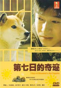 向日葵與幼犬的7天 (DVD) (2013) 日本電影