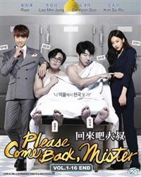 Please Come Back Mister (DVD) (2016) Korean TV Series