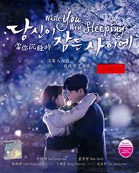 While You Were Sleeping (DVD) (2017) Korean TV Series