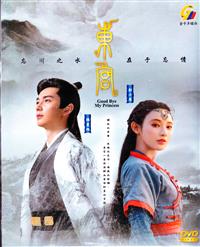 Goodbye My Princess (DVD) (2019) China TV Series