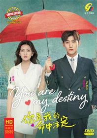 You Are My Destiny (DVD) (2020) 中国TVドラマ