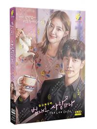 The Law Cafe (DVD) (2022) 韓国TVドラマ