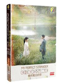 My Perfect Stranger (DVD) (2023) 韓国TVドラマ