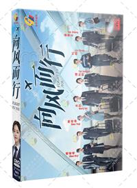 向風而行 (DVD) (2022) 大陸劇