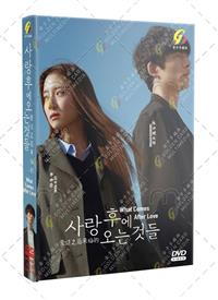 What Comes after Love (DVD) (2025) 韓国TVドラマ