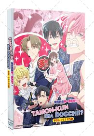 Tamon-kun Ima Docchi!? (DVD) (2026) Anime