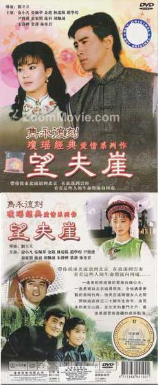 Wang Fu Ya (DVD) () 台湾TVドラマ