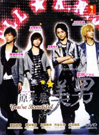 Ikemen desu ne aka You are Beautiful (DVD) (2011) Japanese TV Series