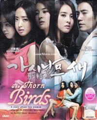 荆棘鸟 (DVD) (2011) 韩剧