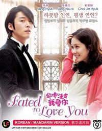 Fated To Love You (DVD) (2014) 韓国TVドラマ